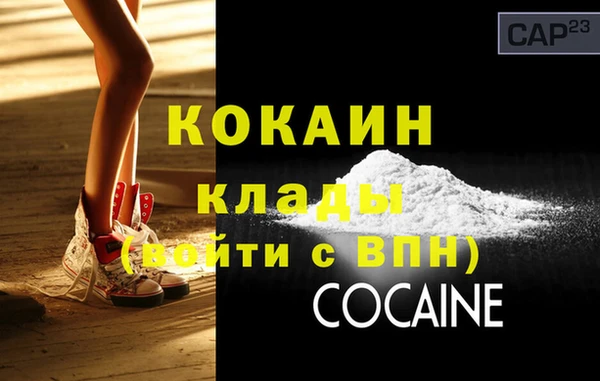 крисы Вязьма