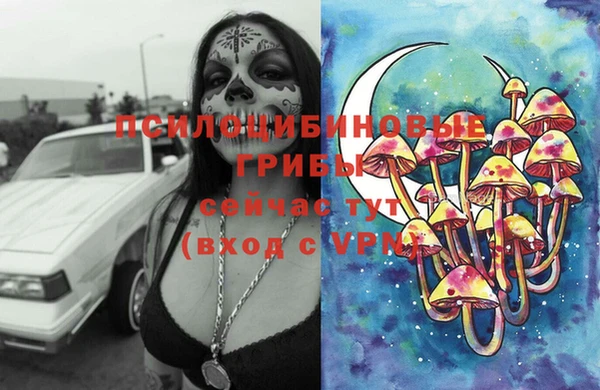 крисы Вязьма