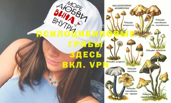 дмт Вязники