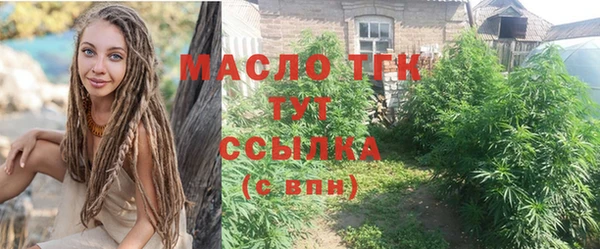 крисы Вязьма