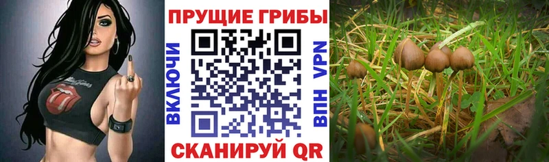 Псилоцибиновые грибы MAGIC MUSHROOMS  Одинцово 